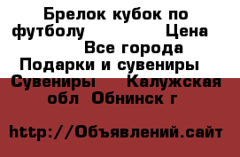 Брелок кубок по футболу Fifa 2018 › Цена ­ 399 - Все города Подарки и сувениры » Сувениры   . Калужская обл.,Обнинск г.